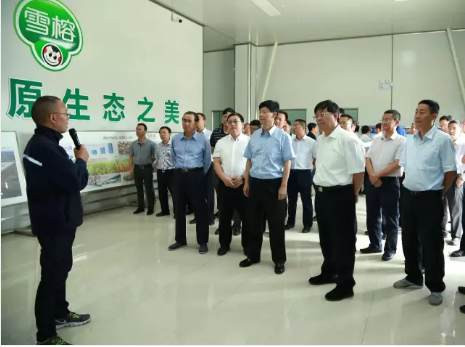 云南昭通市党政代表团到毕节考察