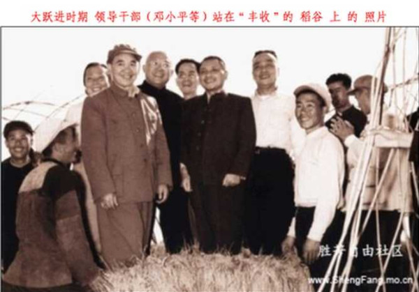 改革前后两个时期的农业现代化