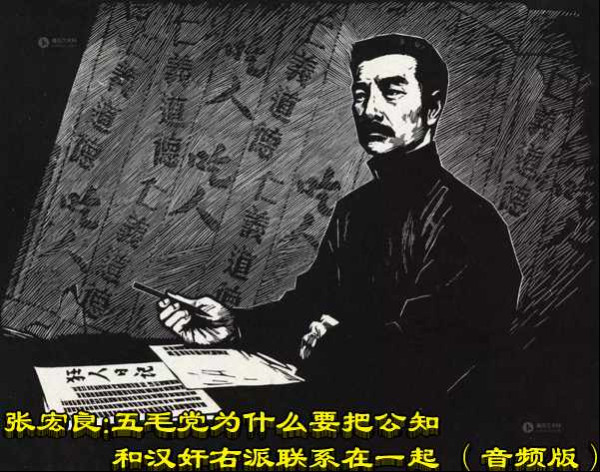 张宏良：五毛党为什么要把公知和汉奸右派联系在一起（音频版）