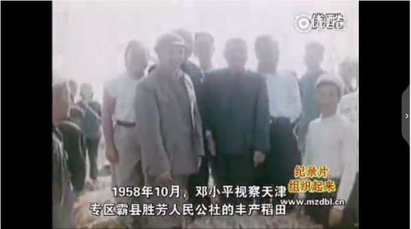 纪录片：组织起来
