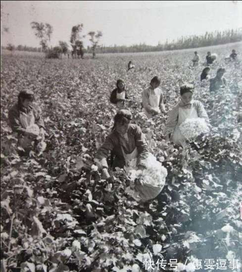 老照片:新中国70年代初期欣欣向荣的农村人民公社