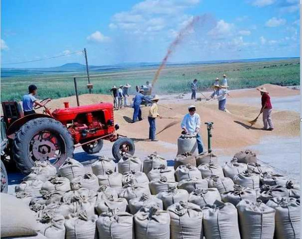 一组北大荒知青老照片