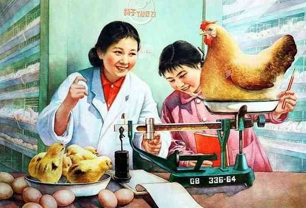 怀旧70年代的画里中国(八)