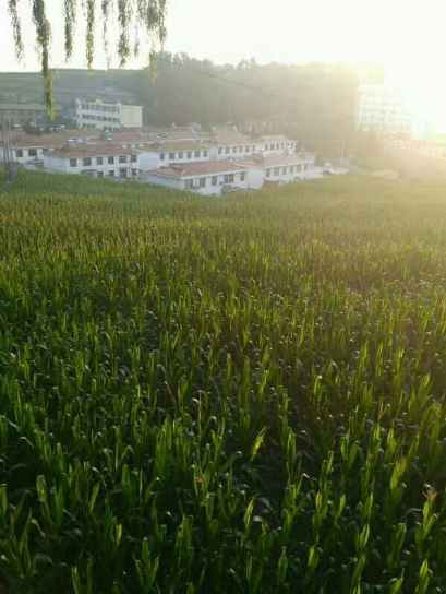 大寨----向全世界发出邀请