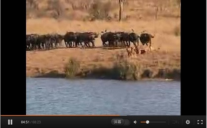 张宏良：当今中国毛派