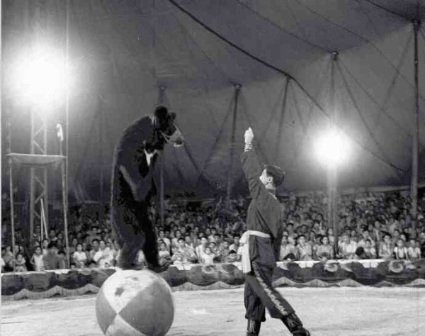 新中国工业革命与世界工业化回眸（四）