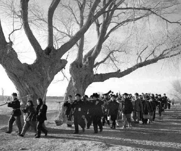 新中国工业革命与世界工业化回眸 （三）