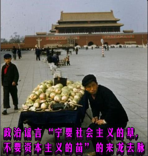 政治谣言“宁要社会主义的草,不要资本主义的苗”的来龙去脉