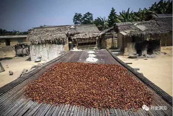 美味的巧克力和纯洁的钻石？不！它们是地球上最血腥肮脏的商品