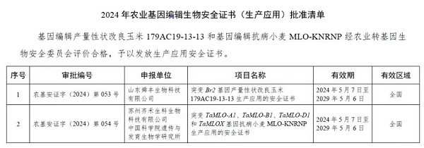 获批生物安全证书，基因编辑小麦离我们还有多远？