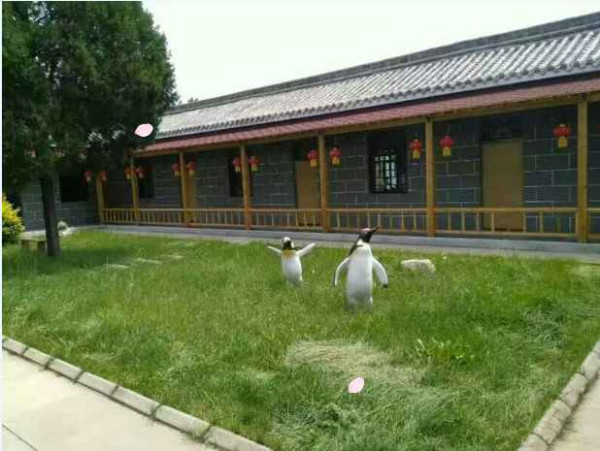 大寨----向全世界发出邀请