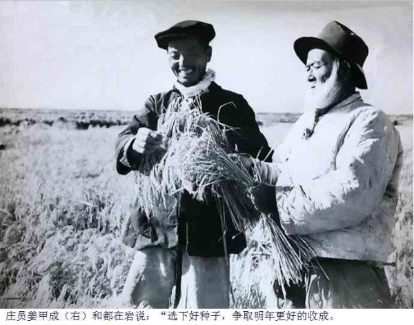 图集：新中国第一个集体农庄——星火集体农庄