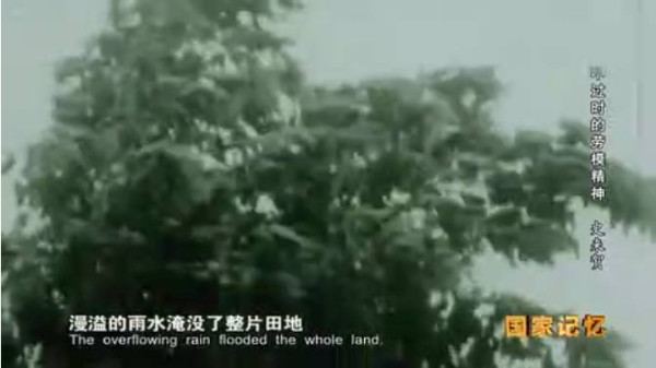 九次见到毛主席的公社书记——史来贺