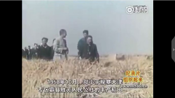 纪录片：组织起来