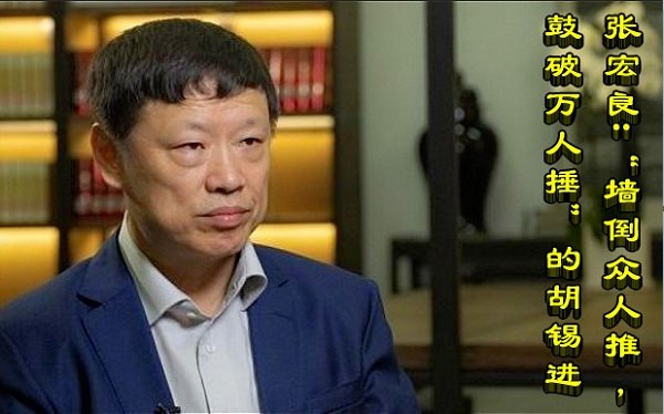 张宏良：“墙倒众人推，鼓破万人捶”的胡锡进