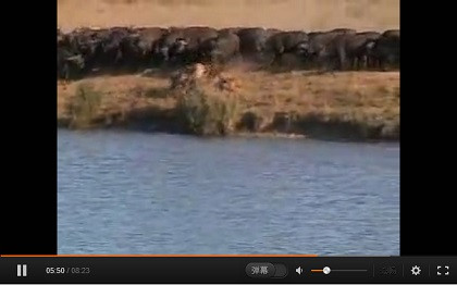 张宏良：当今中国毛派