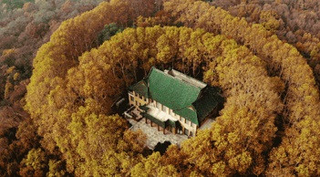 申鹏:蒋介石和宋美龄的“爱情”?