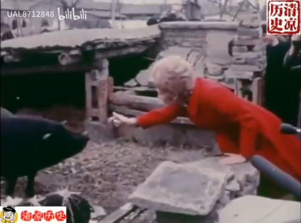 尼克松总统夫人在人民公社的猪圈里干啥？