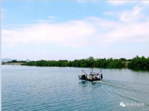 珍贵！一组澄海70年代围海造田的老照片，你一定没有看过...