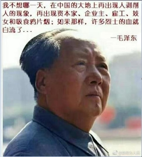 杨启：毛泽东，是人类文明的珠穆朗玛峰！