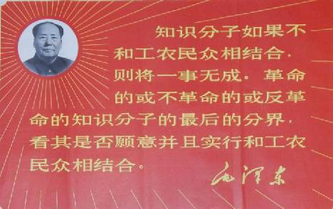 张宏良:左翼应该走与工农群众相结合的道路