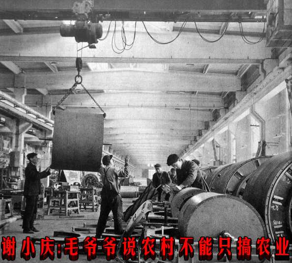 谢小庆：毛爷爷说农村不能只搞农业