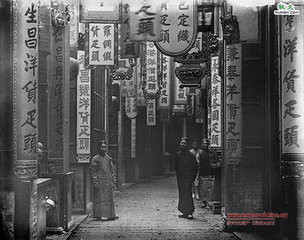 张宏良:回归毛泽东思想,重塑民族精神,是现在避免灾难的唯一办法