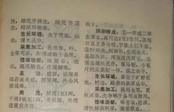 赤脚医生：悬壶济世的温暖记忆【1】