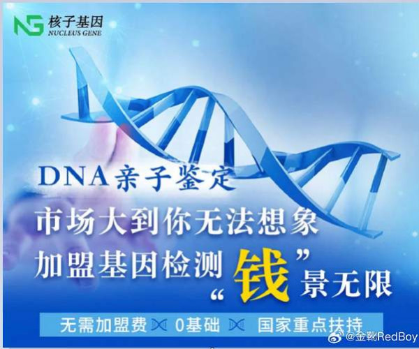 这个张核子是怎么“春江水暖鸭先知”的