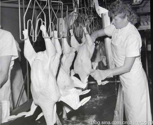 工业革命——世界工业化三百周年回眸（二十三）