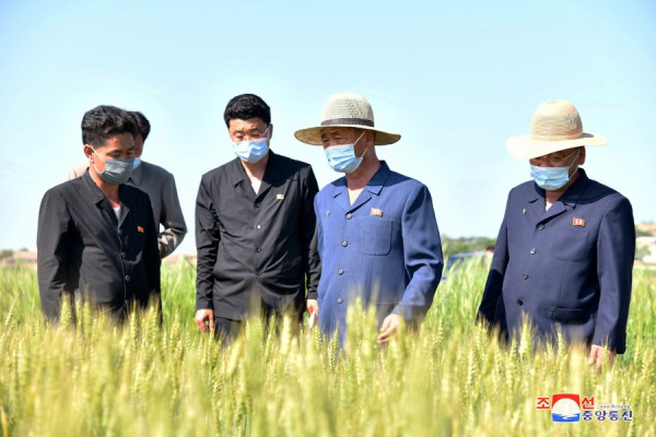 朝鲜总理金德训实地考察一些部门工作