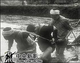 《伟大的土地改革》--1953年