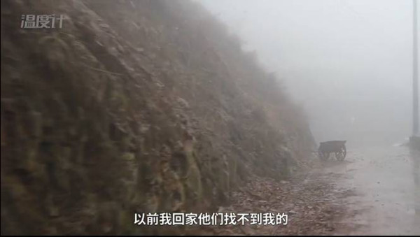 95后大学生随同龄务工者返乡记：我的人生初体验