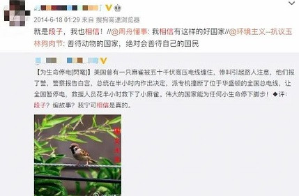 申鹏：电影中的美国，现实中的美国