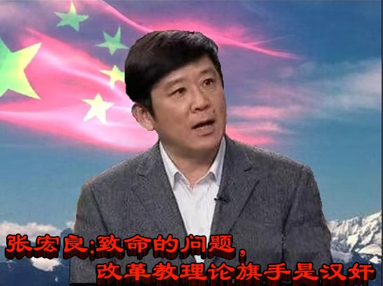张宏良：致命的问题，改革教理论旗手是汉奸 （2015）