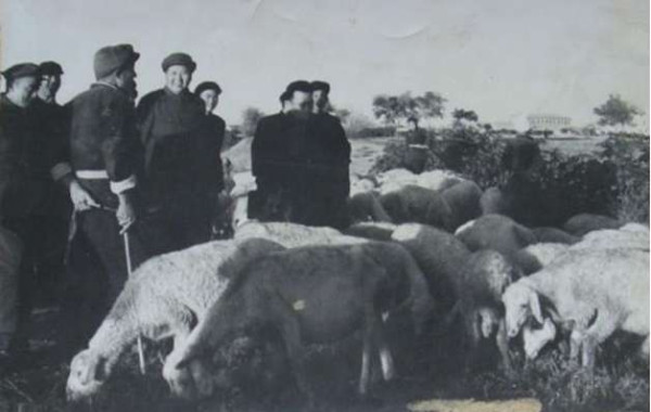 毛泽东社会主义光明道路——农业合作化运动