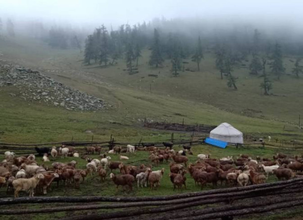 结亲，我只服你：和亲戚把日子过成一首诗