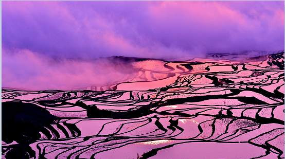 真相：历史必须再次澄清！