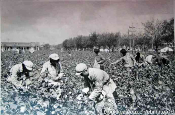 新中国工业革命与世界工业化回眸（十三）