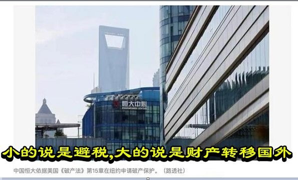 小的说是避税，大的说是财产转移国外