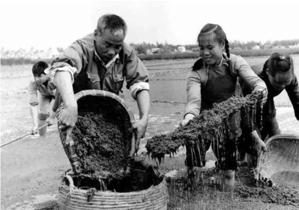 艰难奠基，新中国前三十年史诗般波澜壮阔的工业史（中）