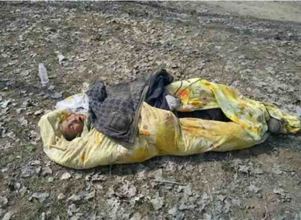 中华民族的子孙应当知道的关于毛主席的十四个谬论