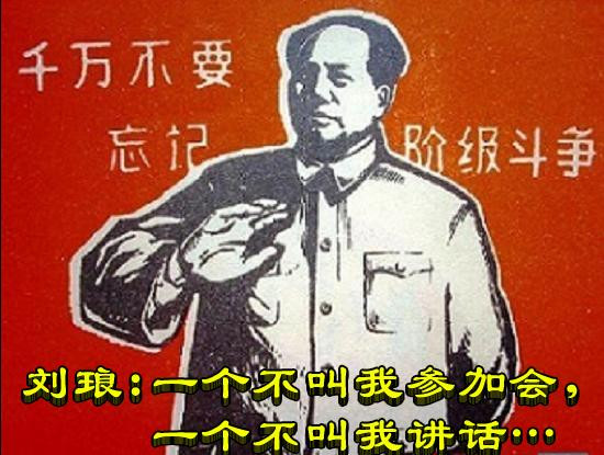 刘琅:一个不叫我参加会,一个不叫我讲话…