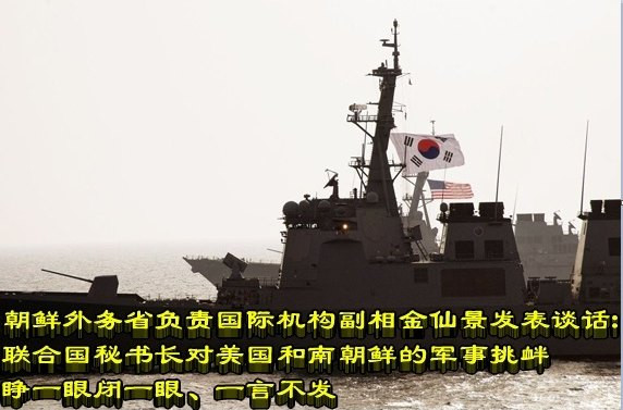 朝鲜外务省负责国际机构副相金仙景发表谈话