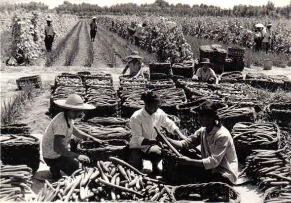 毛主席接手中国时的历史背景及伟大成就