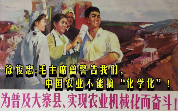 徐俊忠：毛主席曾警告我们，中国农业不能搞“化学化”！