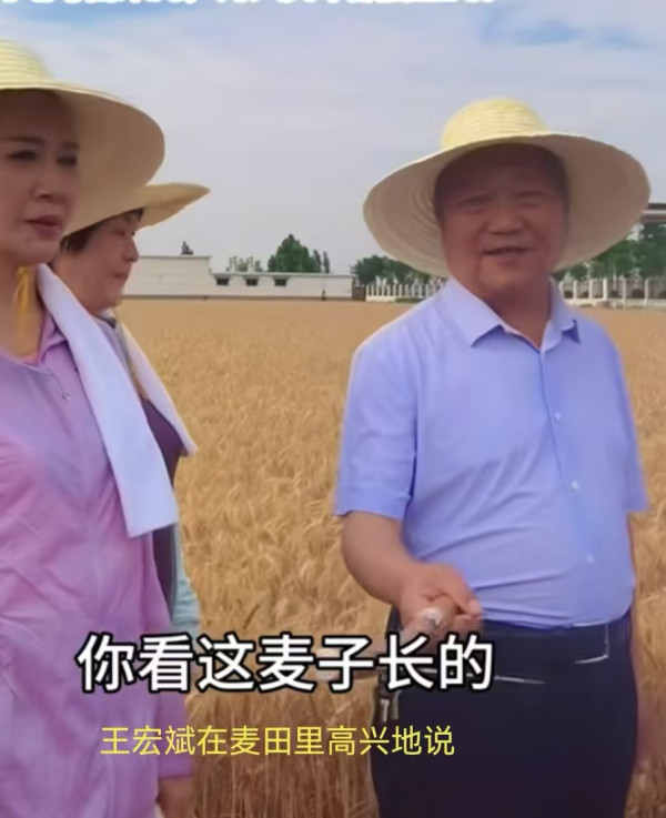 天眸：南街村的麦田熟了
