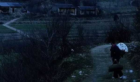 张宏良：中国人虎狼与猪羊的两面性