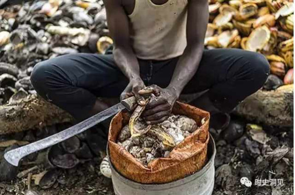 美味的巧克力和纯洁的钻石？不！它们是地球上最血腥肮脏的商品