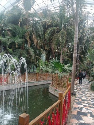 触动心灵的“南街村之旅”